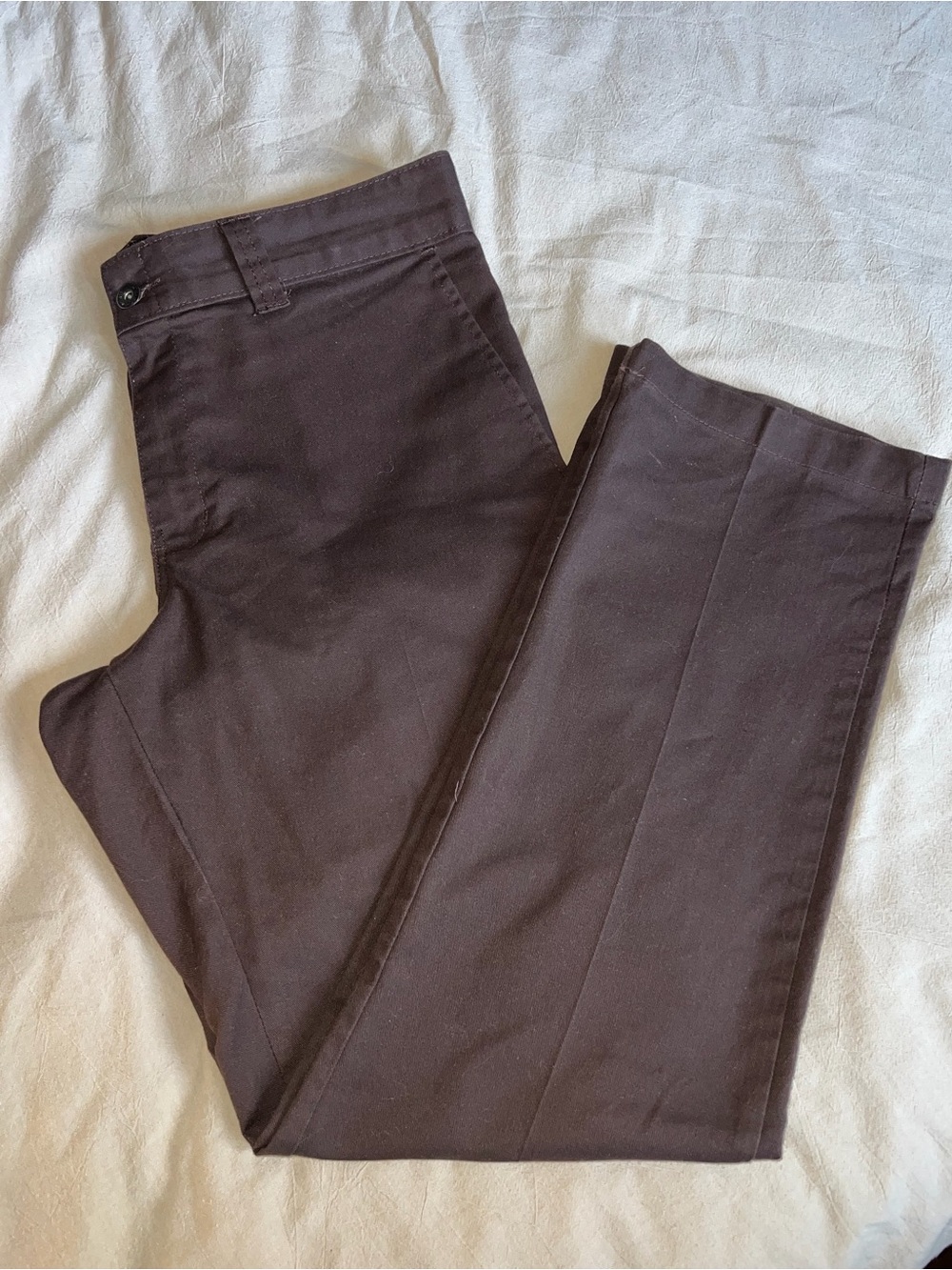 Men’s Dickies Pants - Brown 67 Collection